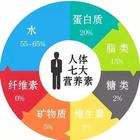 人体营养素比例图_人体营养素是什么意思_健身 人体四大营养素