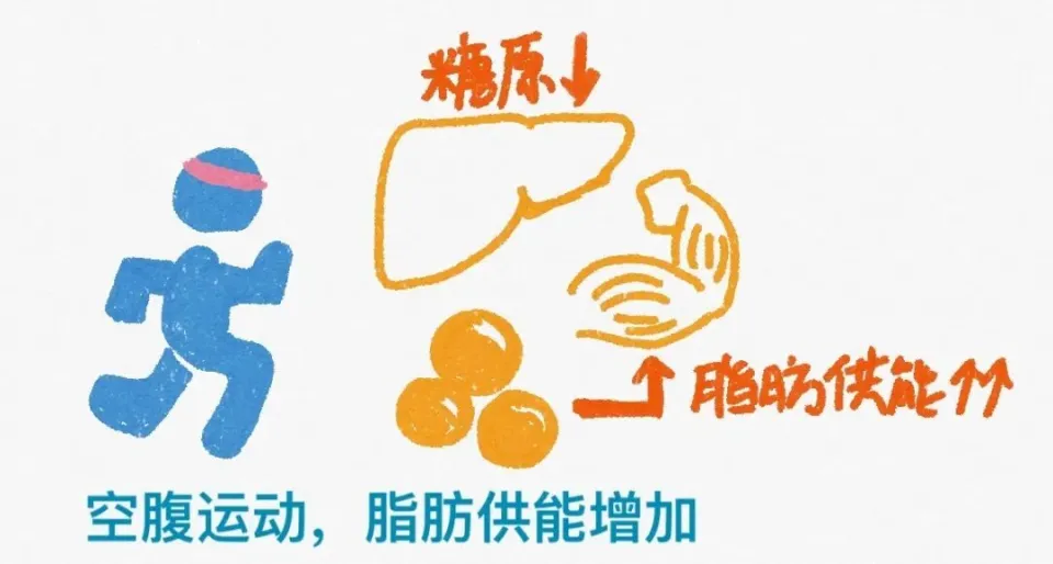 空腹运动真的能更快减脂吗？实践与真相揭秘