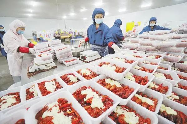 马拉松养虾技术_马拉松养虾技术_马拉松养虾技术